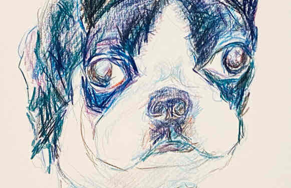 NEW | 29x22cm | drawing x paper | 2022 #dog