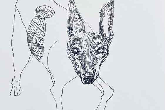NEW | 29x22cm | drawing x paper | 2023 #dog