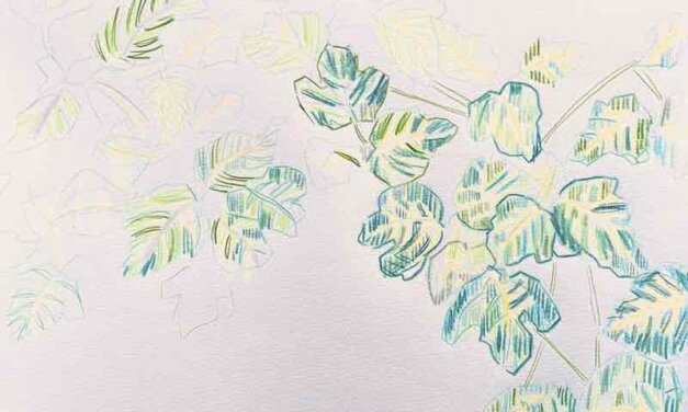 NEW | 29x22cm | drawing x paper | 2023 #tree