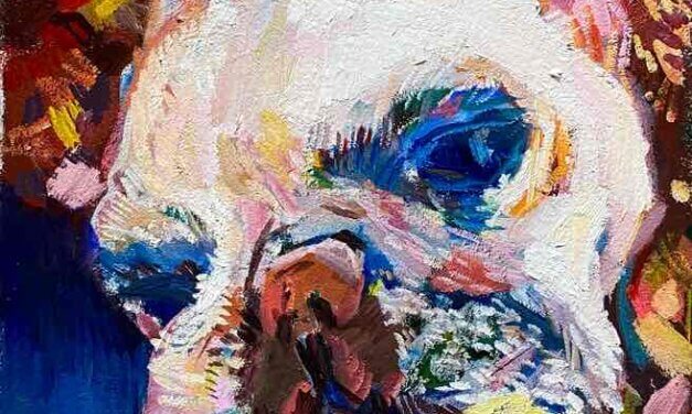 NEW | 30x24cm | oil x paper | 2023 #bullDog