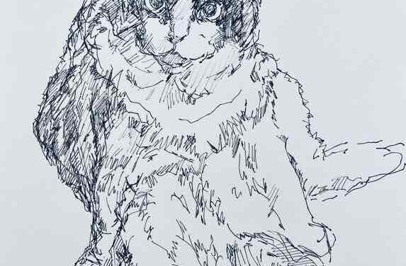 NEW | 29x22cm | drawing x paper | 2023 #cat