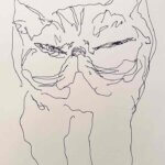 NEW | 29x22cm | drawing x paper | 2024 #cat