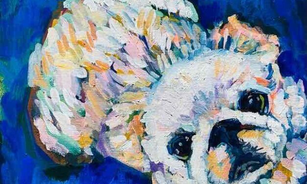 NEW | 30x24cm | oil x paper | 2023 #dog