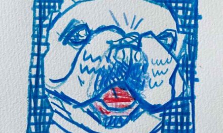 NEW | 22x22cm | drawing x paper | 2024 #dog