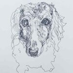NEW | 23x23cm | drawing x paper | 2024 #dog