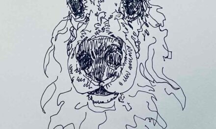 NEW | 23x23cm | drawing x paper | 2024 #dog