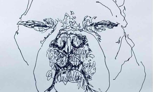 NEW | 23x23cm | drawing x paper | 2024 #dog