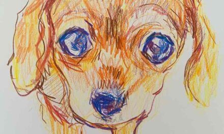 NEW | 29x22cm | drawing x paper | 2024 #dog