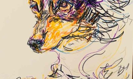 NEW | 29x22cm | drawing x paper | 2024 #dog