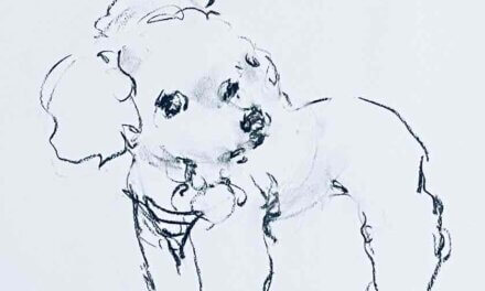 NEW | 29x22cm | drawing x paper | 2024 #dog