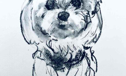 NEW | 29x22cm | drawing x paper | 2024 #dog