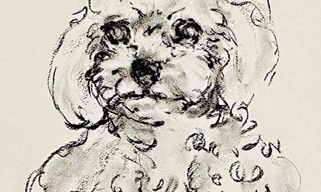 NEW | 29x22cm | drawing x paper | 2024 #dog