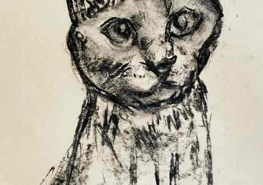 NEW | 29x22cm | drawing x paper | 2024 #dog #cat