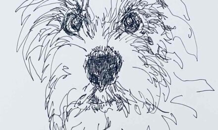 NEW | 29x22cm | drawing x paper | 2024 #dog