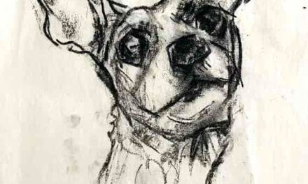 NEW | 22x22cm | drawing x paper | 2024 #dog