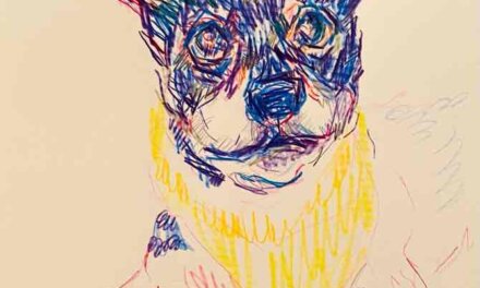 NEW | 22x22cm | drawing x paper | 2024 #dog