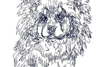 NEW | 22x22cm | drawing x paper | 2024 #dog