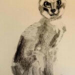 NEW | 29x22cm | drawing x paper | 2026 #cat