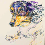 sold | 29x22cm | drawing x paper | 2024 #dog