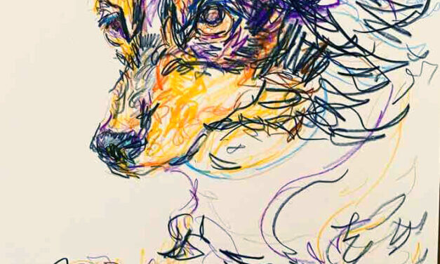 sold | 29x22cm | drawing x paper | 2024 #dog