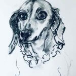 NEW | 41x31cm | drawing x paper #dog