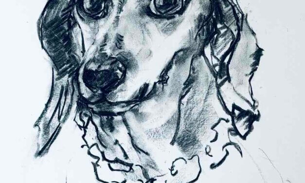 NEW | 41x31cm | drawing x paper #dog