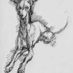 NEW | 15x15cm | drawing x paper | 2025 #dog