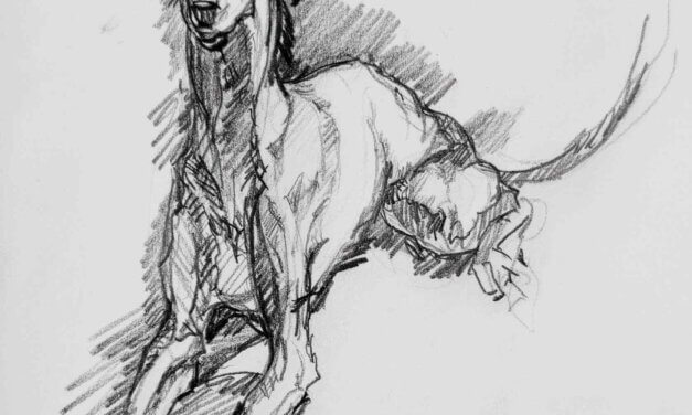 NEW | 15x15cm | drawing x paper | 2025 #dog