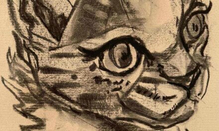 NEW | 29x22cm | drawing x paper | 2026 #leopard