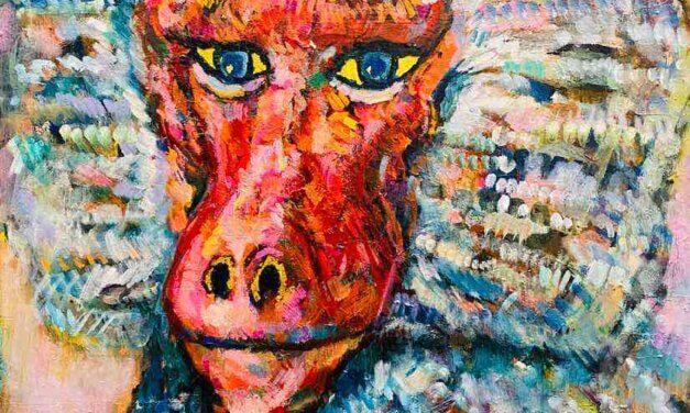 on sale | hamadryas baboon | 65x53cm | oil x wood panel #tagboat