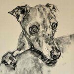 NEW | 29x21cm | drawing x paper | 2025 #dog