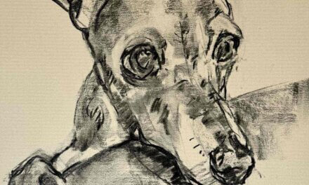 NEW | 29x21cm | drawing x paper | 2025 #dog
