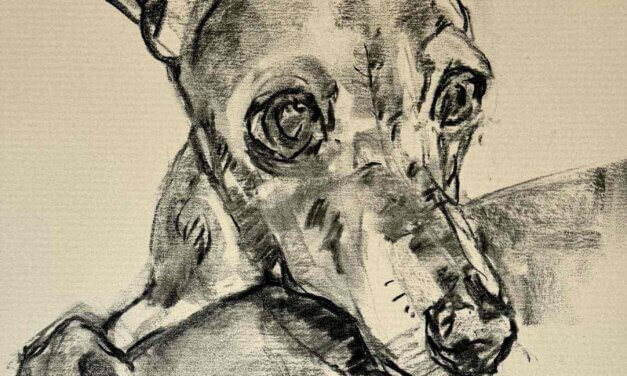NEW | 29x21cm | drawing x paper | 2025 #dog