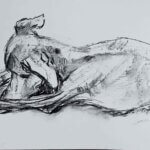 NEW | 29x21cm | drawing x paper | 2026 #dog