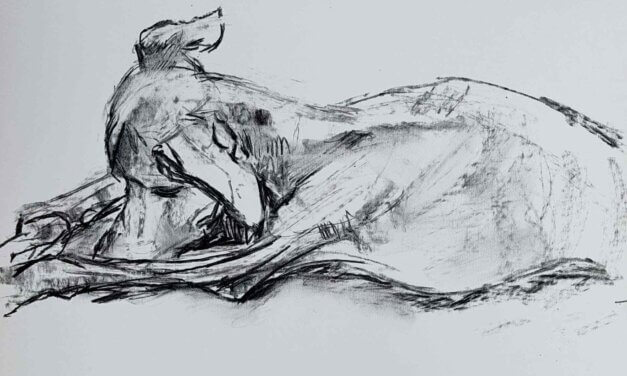 NEW | 29x21cm | drawing x paper | 2026 #dog