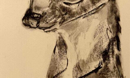 NEW | 29x21cm | drawing x paper | 2026 #art