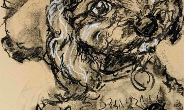 NEW | 29x21cm | drawing x paper #landscape