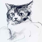NEW | 41x31cm | aquarell x paper #cat