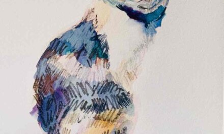 event | cats | Kobe subway museum | 29.Feb.-22.Mar.2026 #kobe