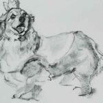 NEW | 31x41cm | drawing x paper #dog