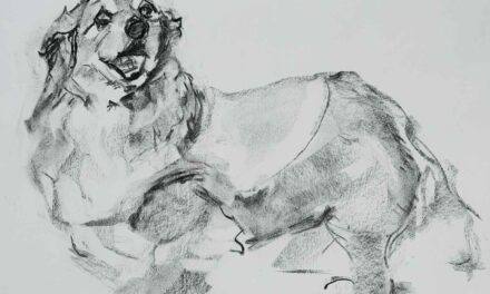 NEW | 31x41cm | drawing x paper #dog