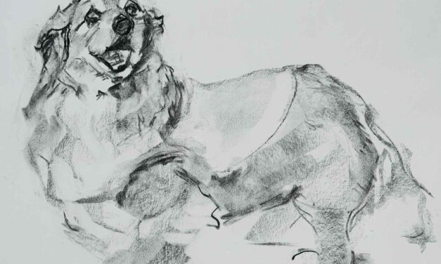 NEW | 31x41cm | drawing x paper #dog