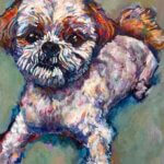 SOLO Exhibition | oh my pets | 24.04.2026-24.05.2026 #harmonyst #tokyo