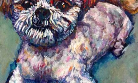 SOLO Exhibition | oh my pets | 24.04.2026-24.05.2026 #harmonyst #tokyo