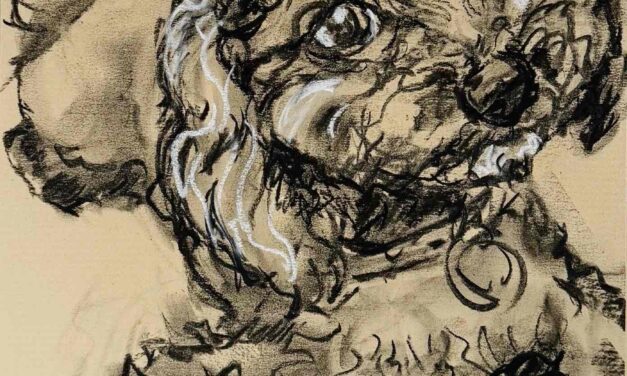 NEW & SOLD | 29x22cm | watercolour x paper | #doggy