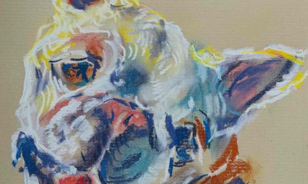 NEW | 29x21cm | drawing x paper #dog
