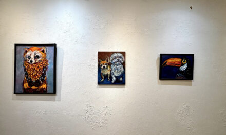 SOLO Exhibition | oh my pets | 24.04.2026-24.05.2026 #harmonyst #tokyo