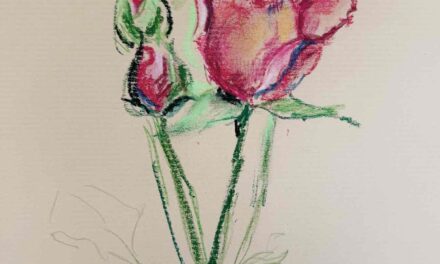 new | 29x22cm | drawing x paper #art