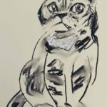 NEW | 29x22cm | drawing x paper #cat