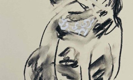 NEW | 29x22cm | drawing x paper #cat